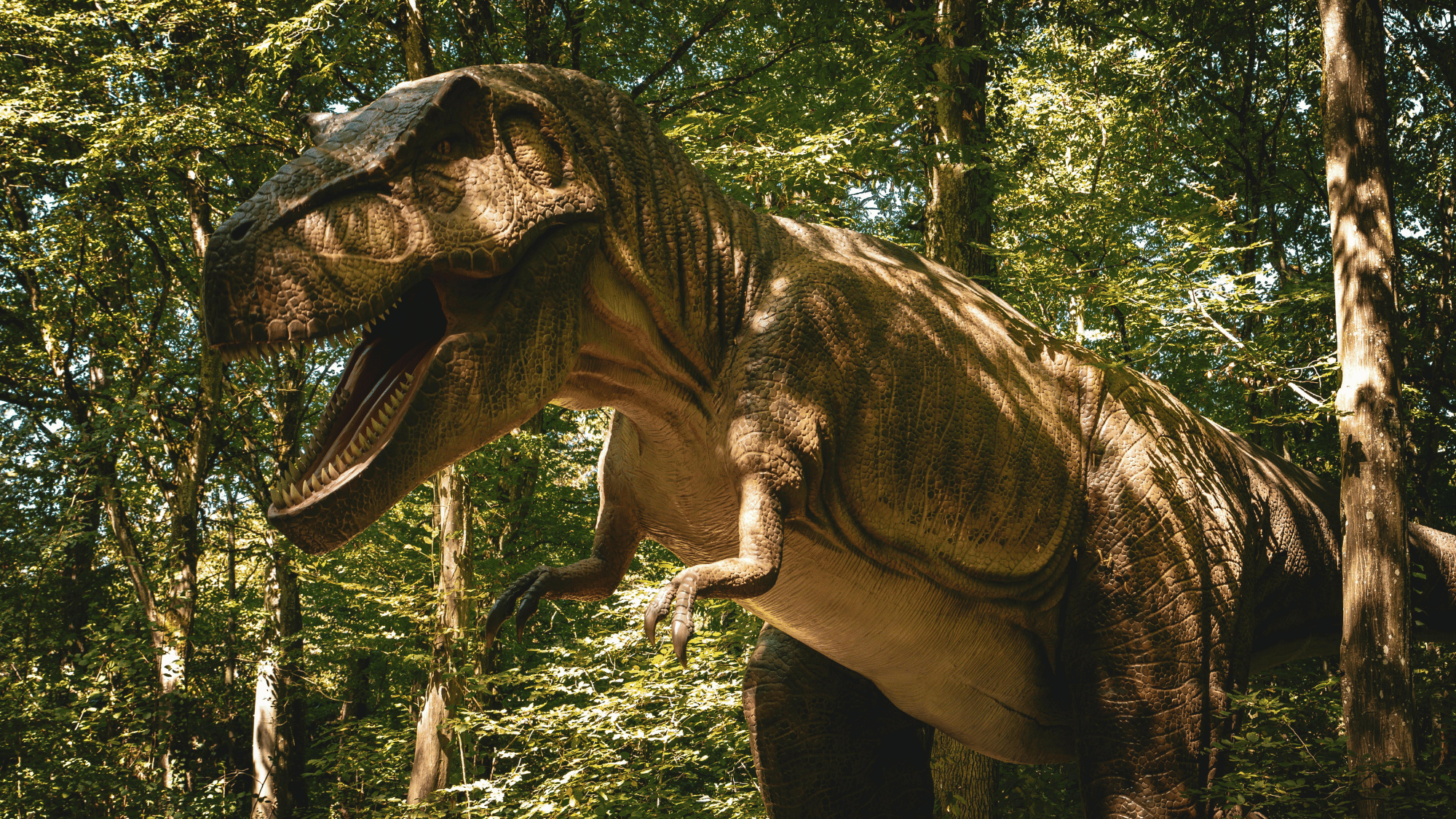 a giant asteroid helped end the age of dinosaurs
