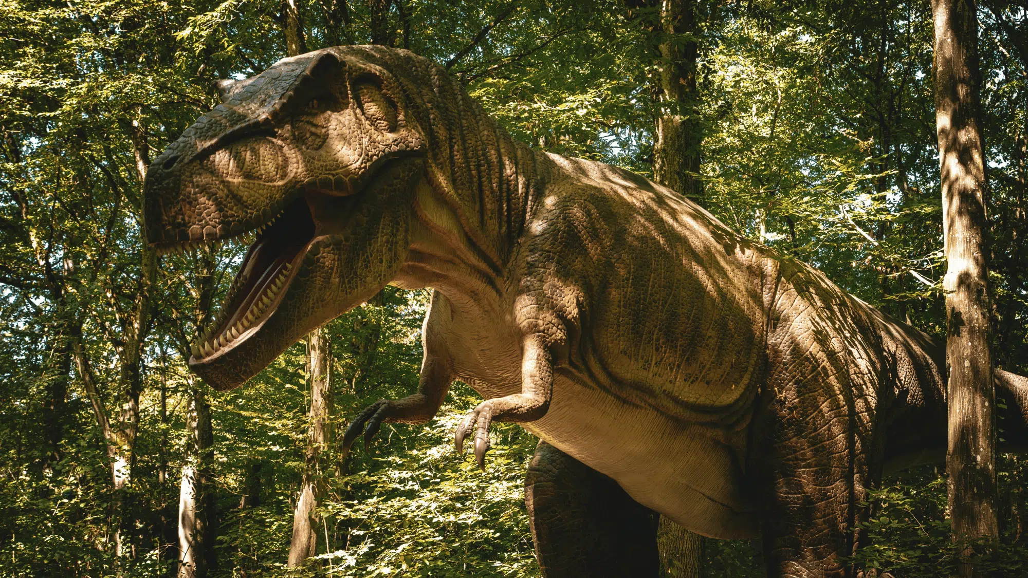 a giant asteroid helped end the age of dinosaurs