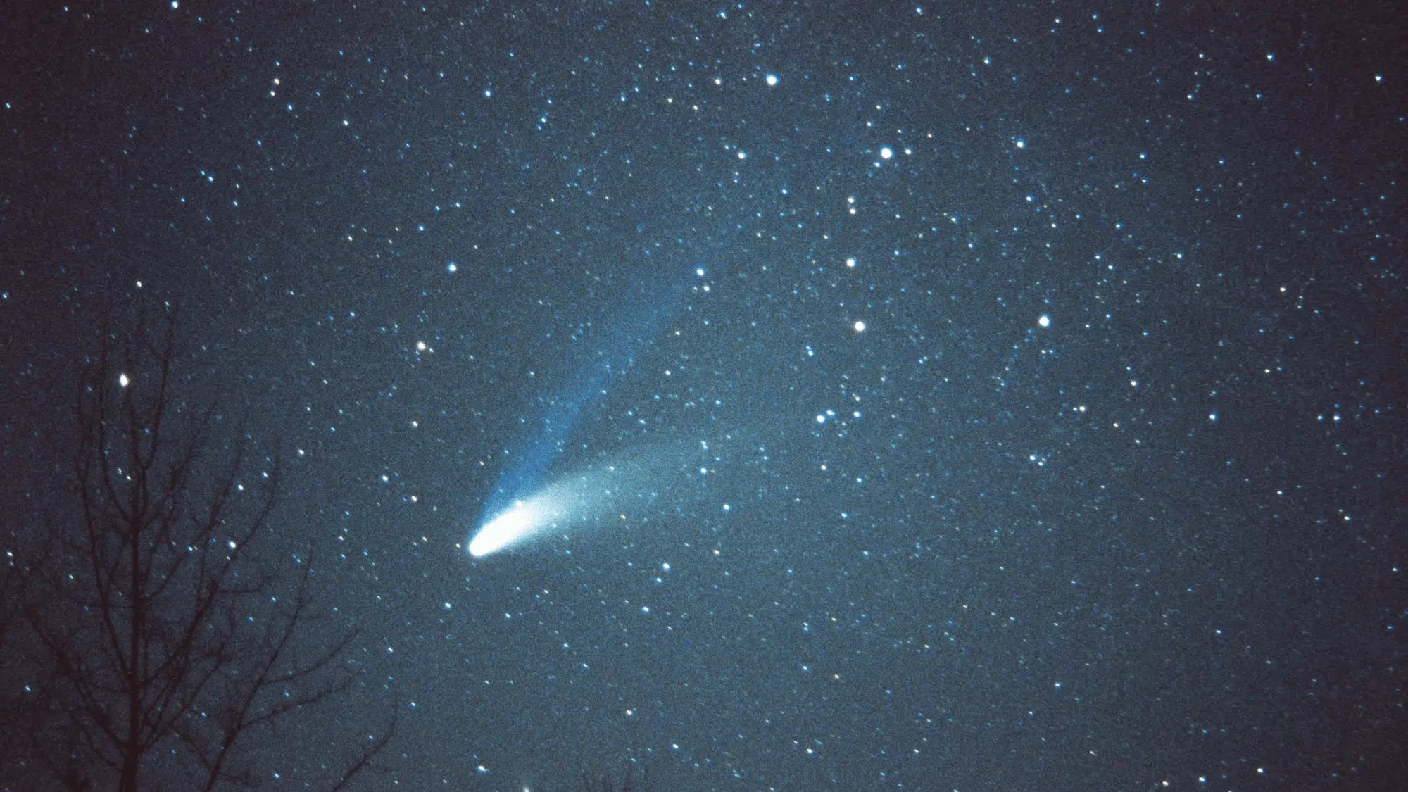comet hale bopp