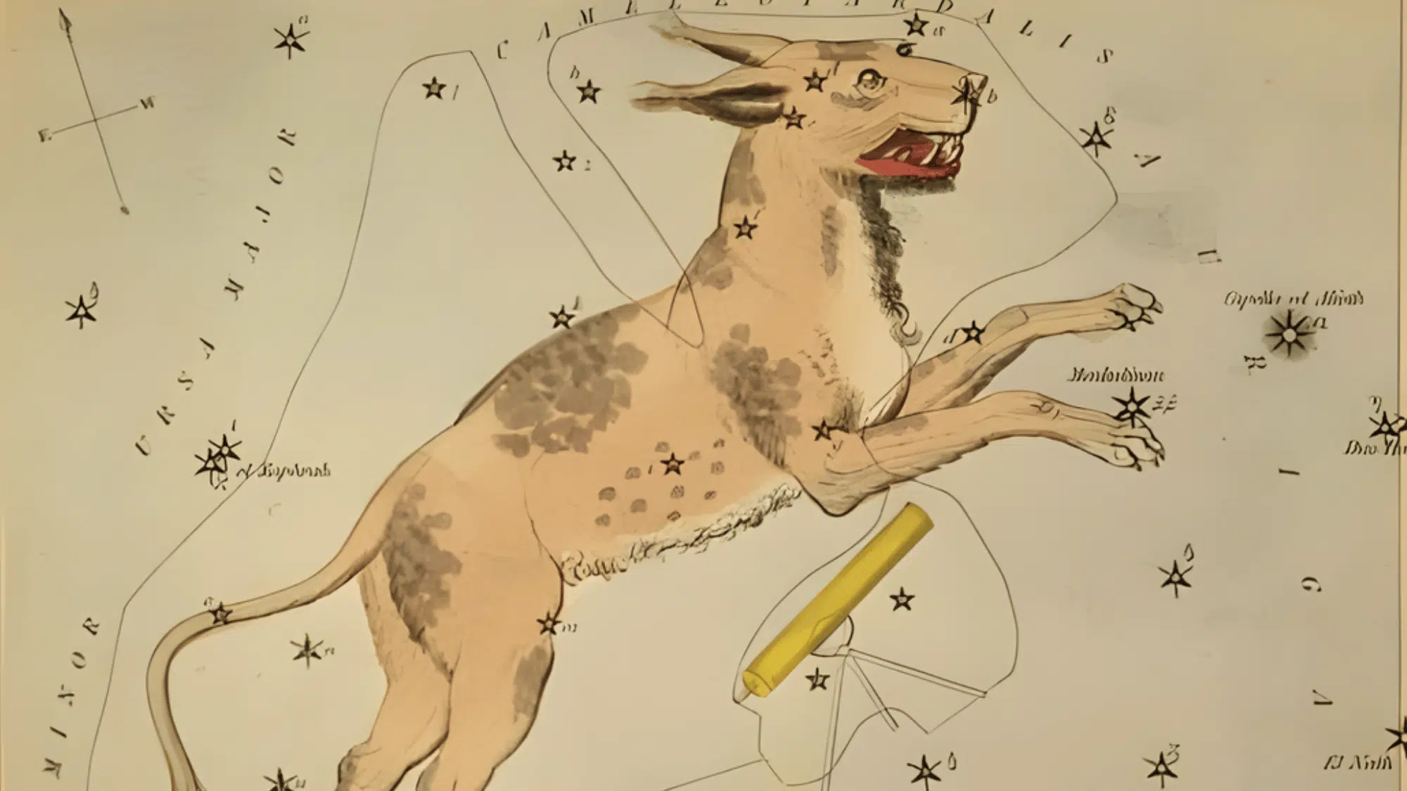 history of the lynx constellation