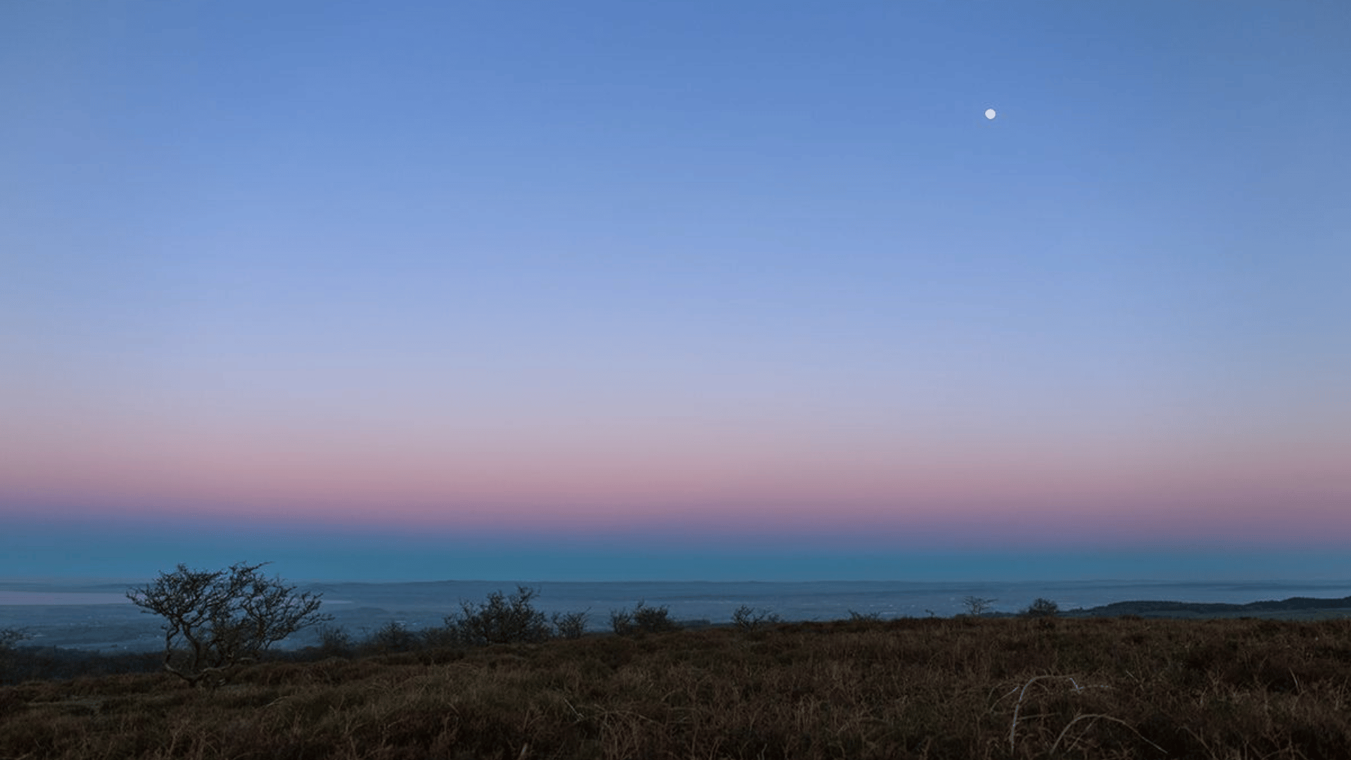 how the venus belt forms