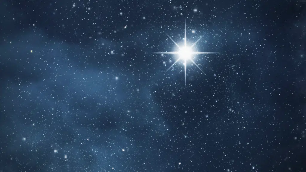 is the north star always north