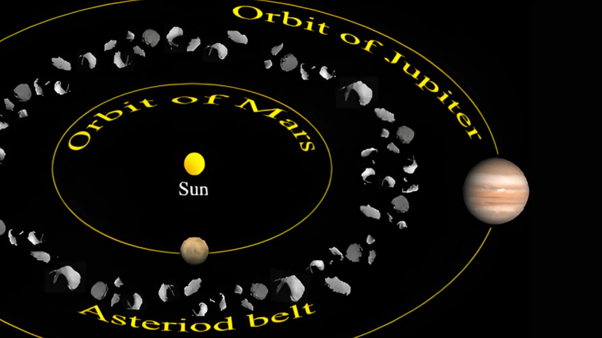most asteroids live in the  asteroid belt