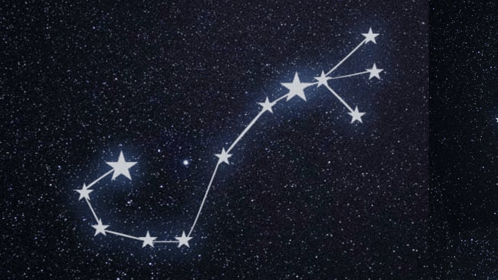 scorpius the scorpion