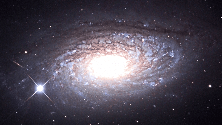 sunflower galaxy