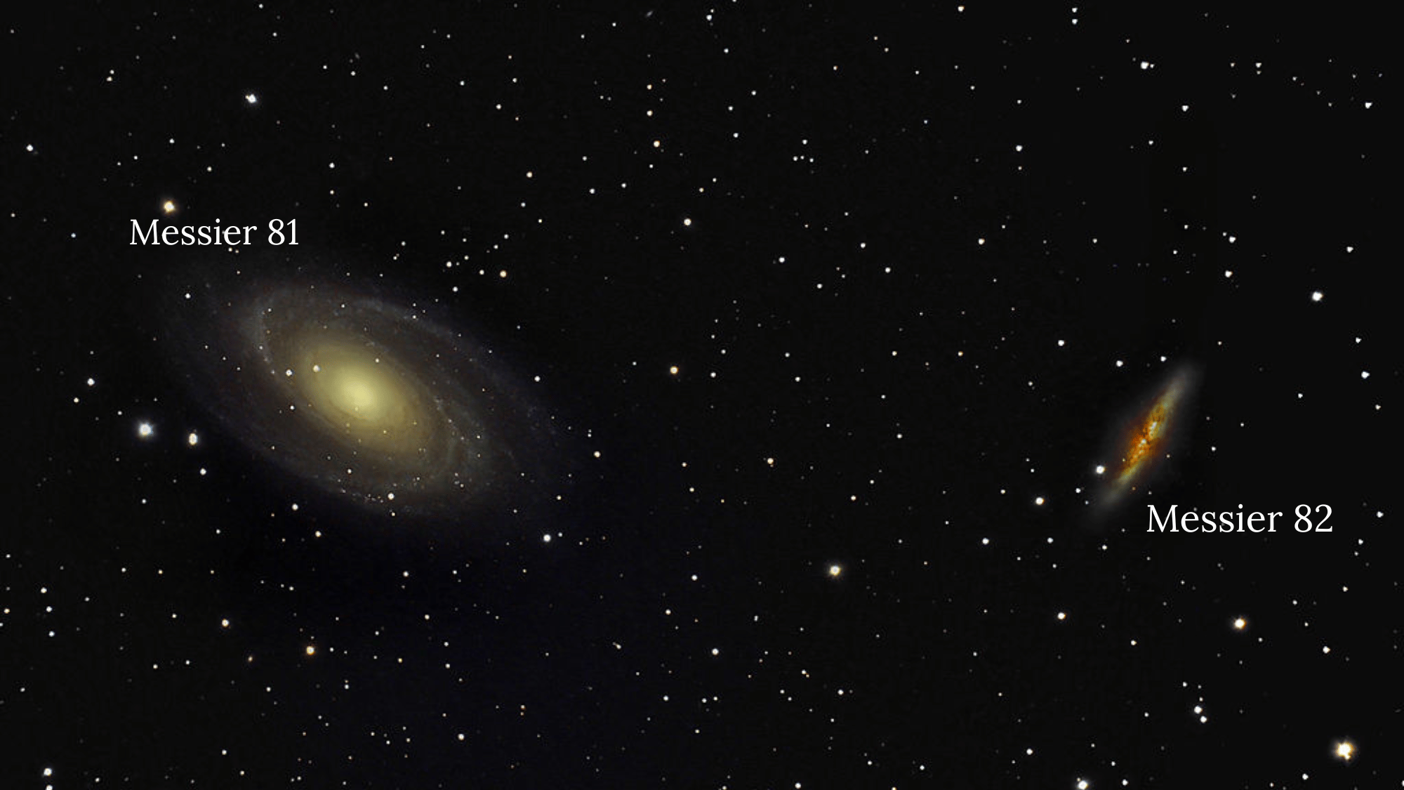 the cosmic neighborhood interaction with m81