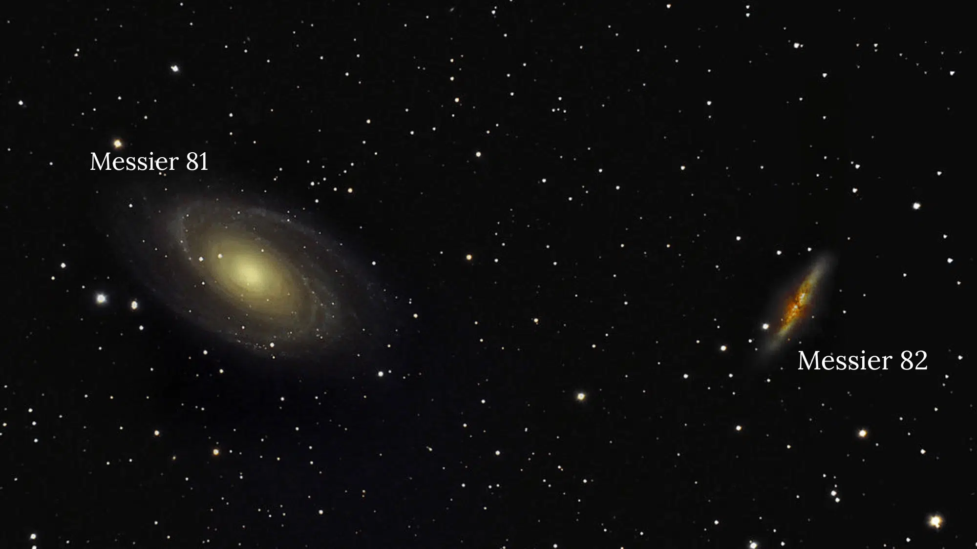the cosmic neighborhood interaction with m81