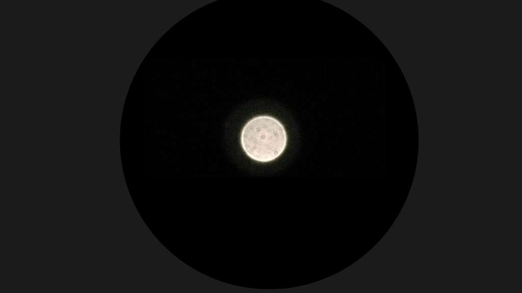 venus through a telescope