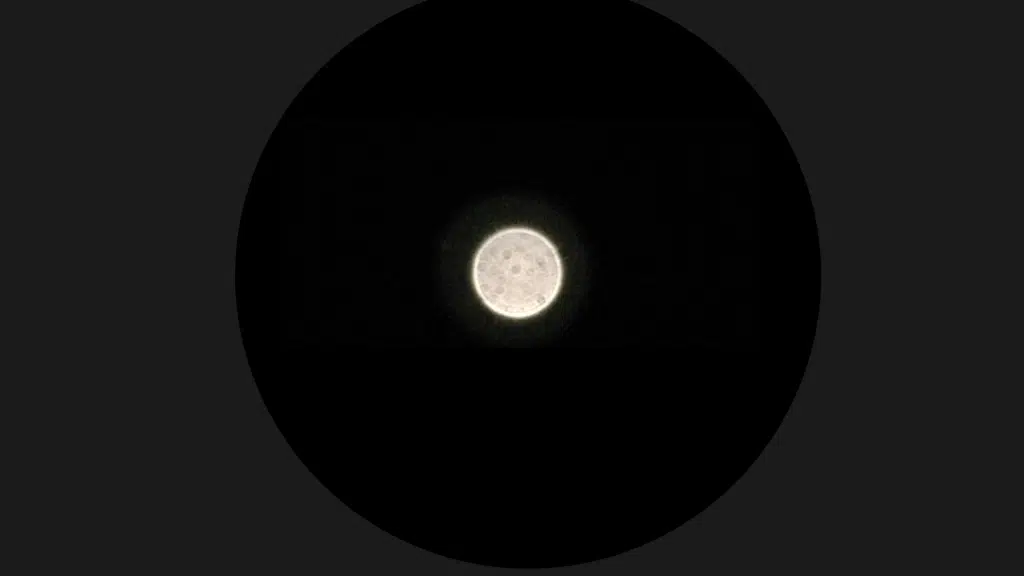 venus through a telescope