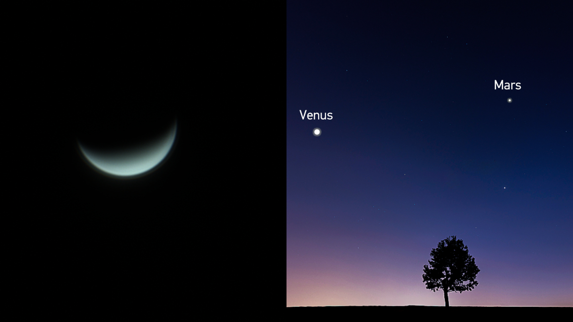 venus through a telescope vs the naked eye