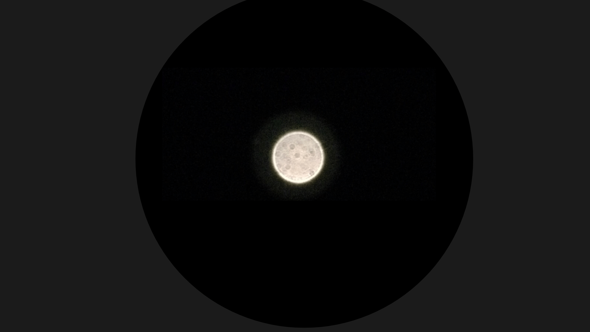 venus through a telescope