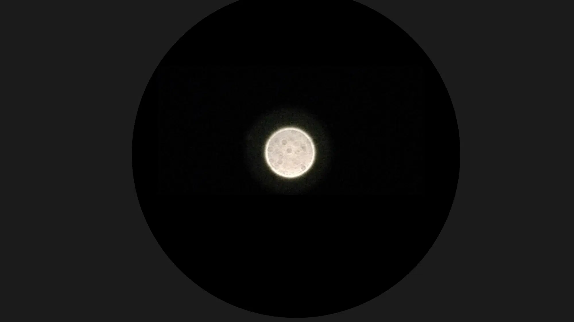 venus through a telescope