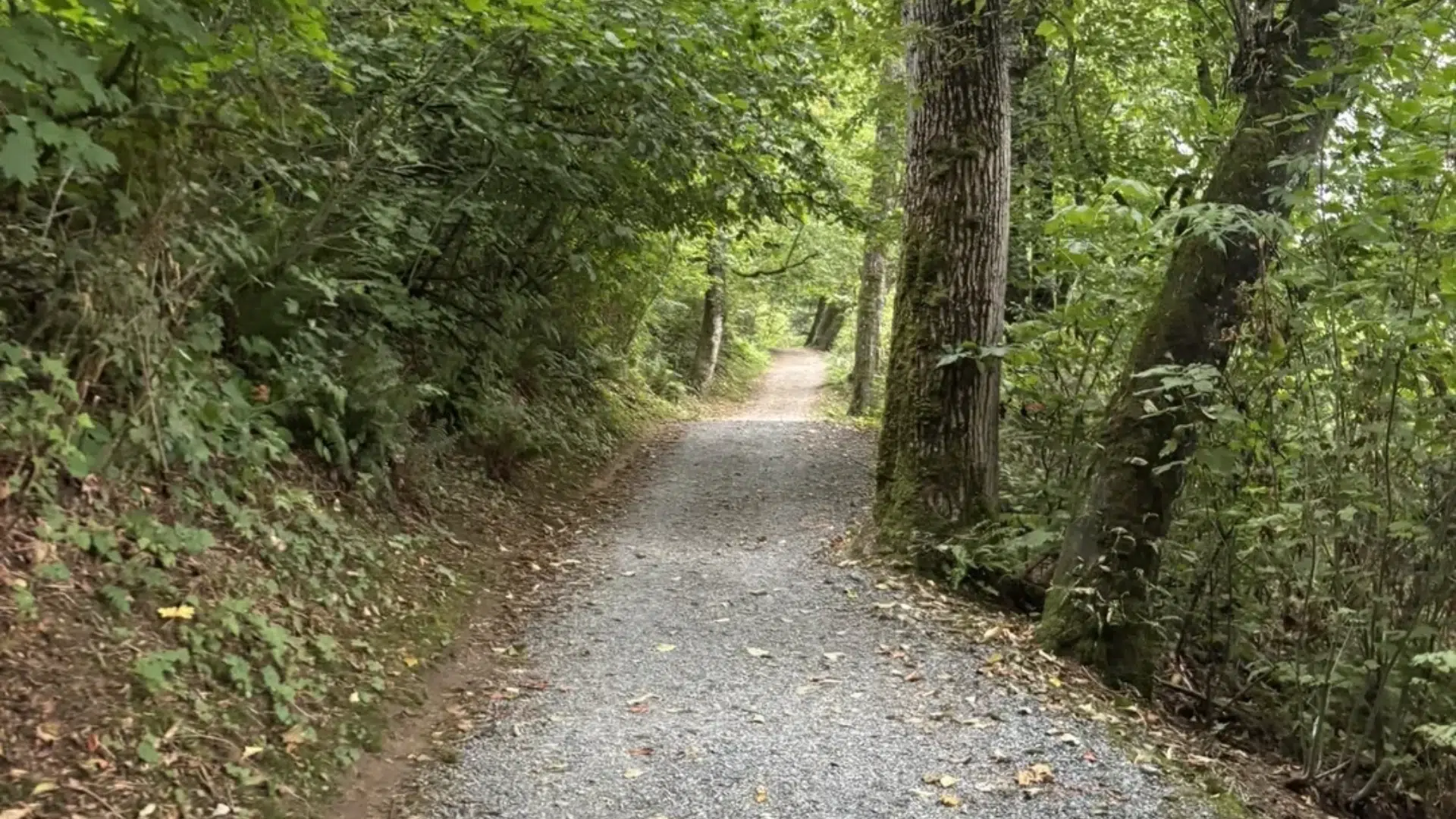 coquitlam and aldergrove