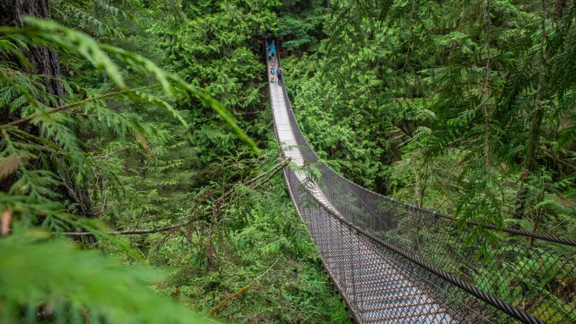 lynn canyon park
