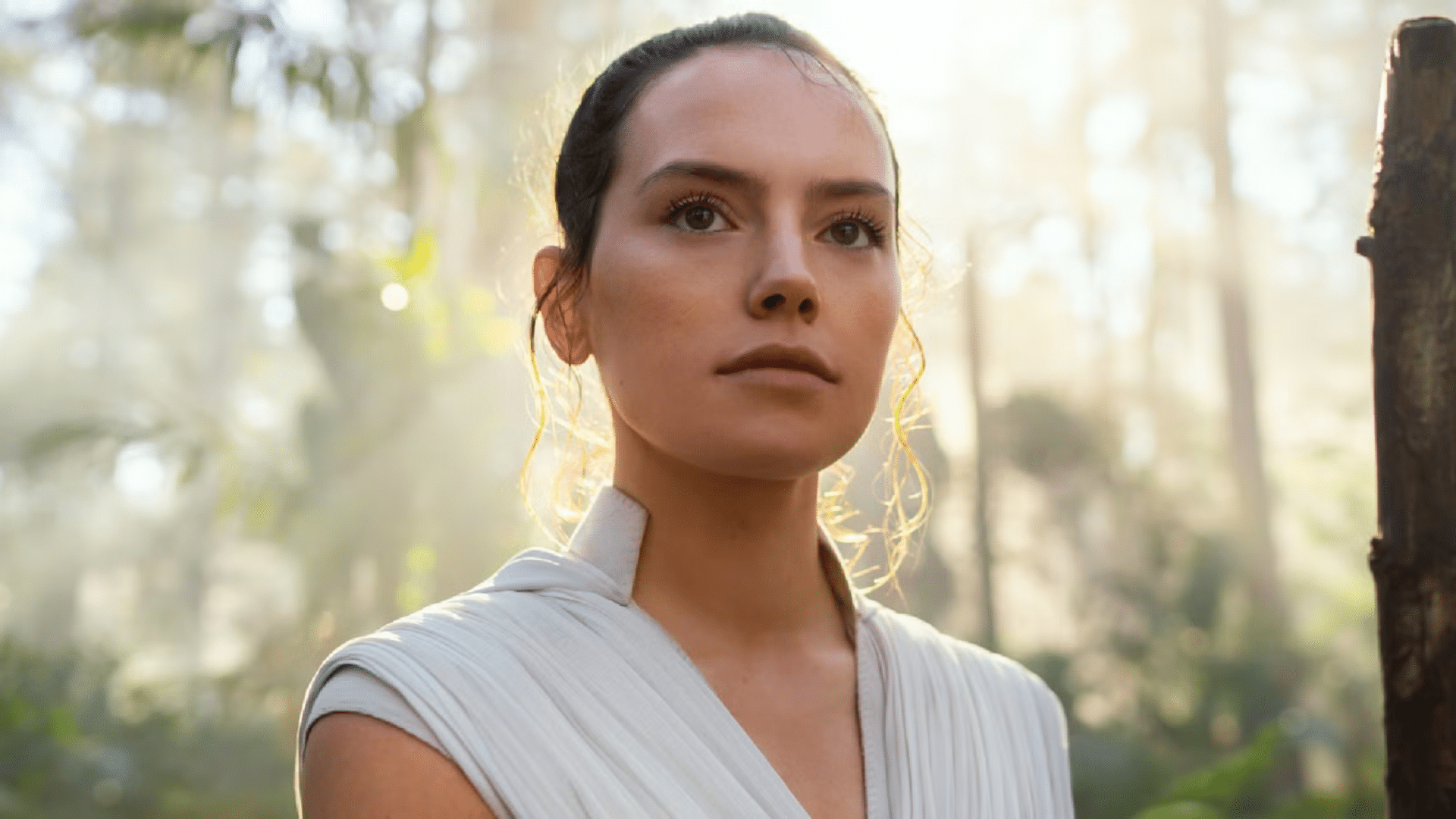 chosen heir rey skywalker