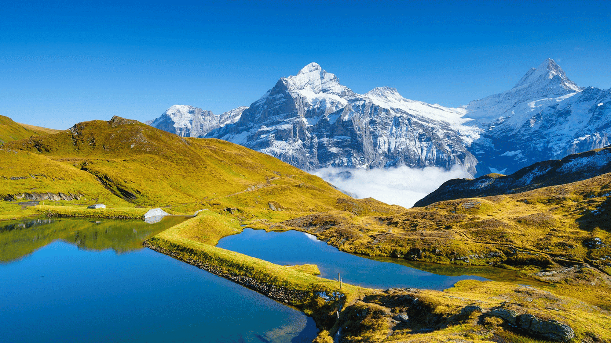 grindelwald mountains switzerland