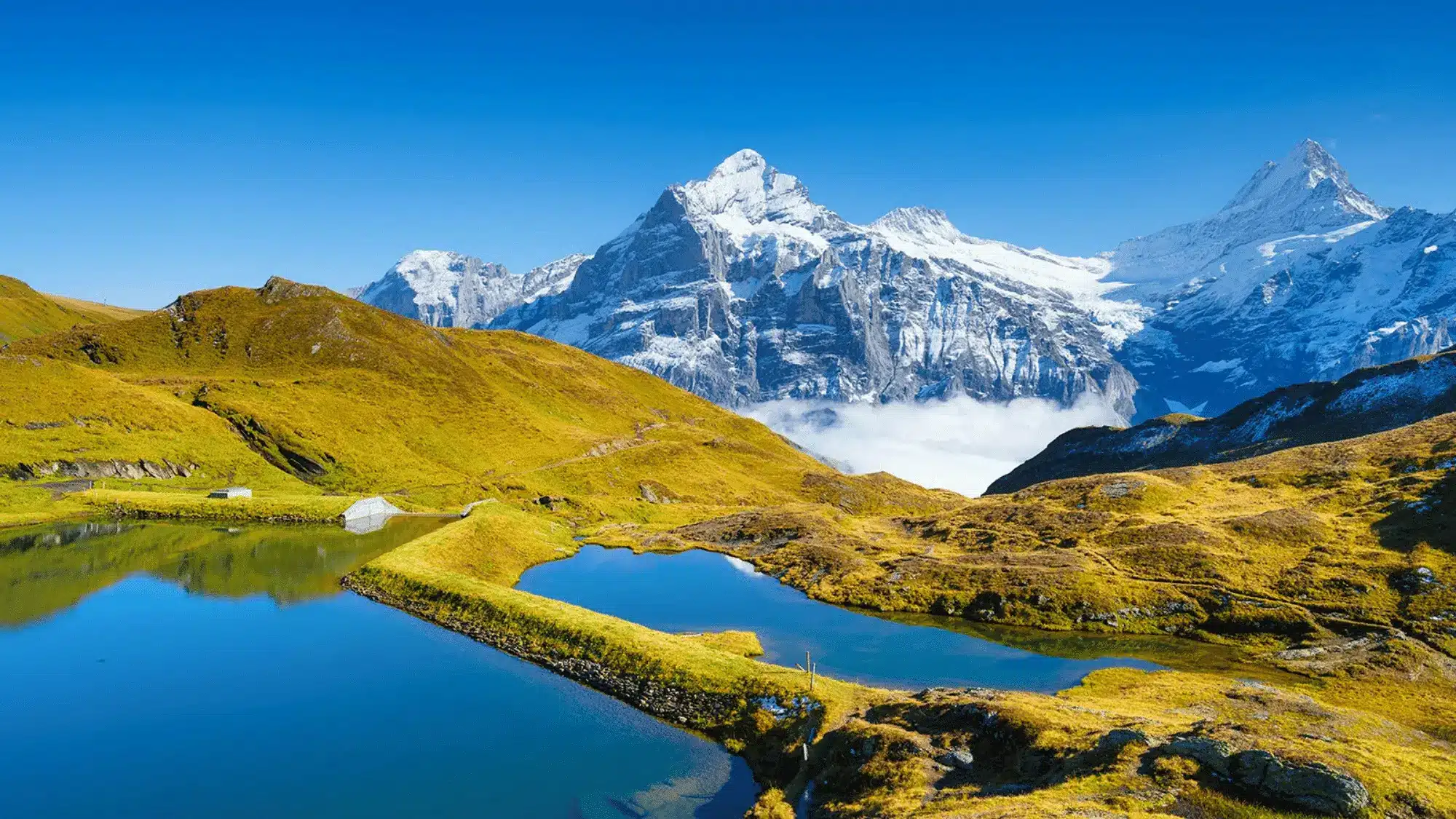 grindelwald mountains switzerland
