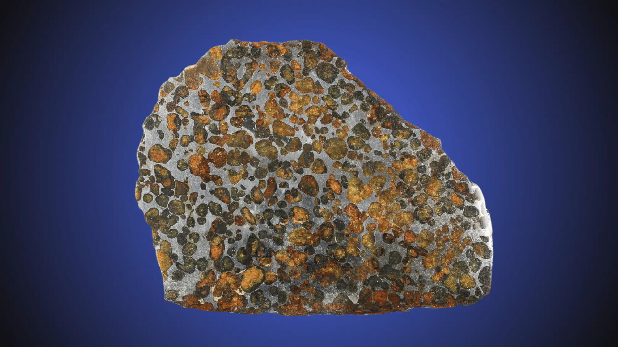 pallasites