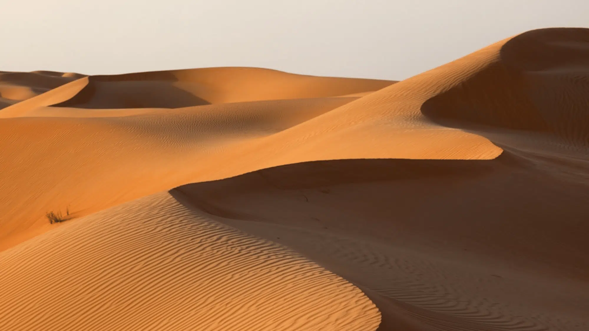 rub al khali desert abu dhabi