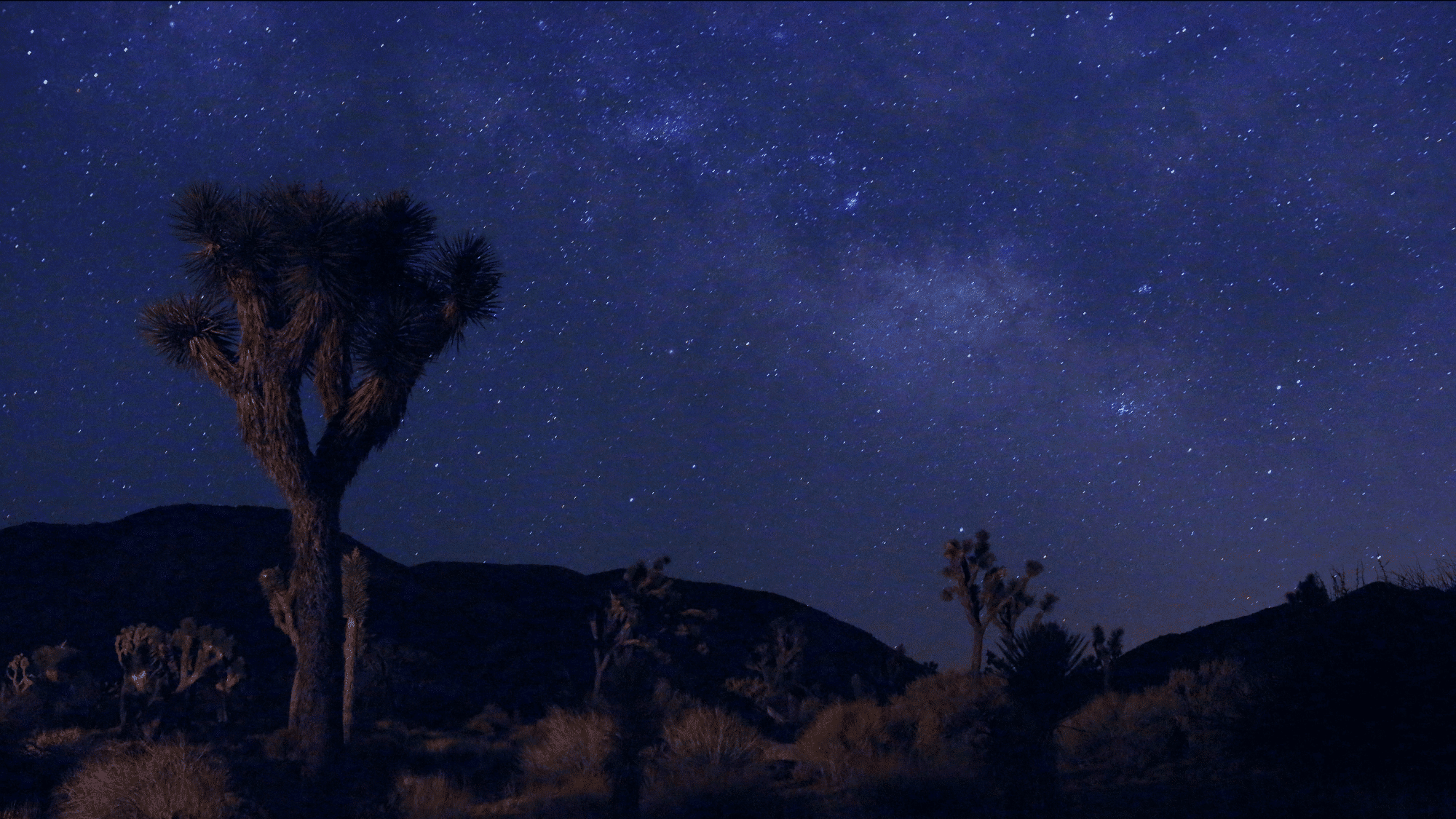 time it right best seasons and moon phases