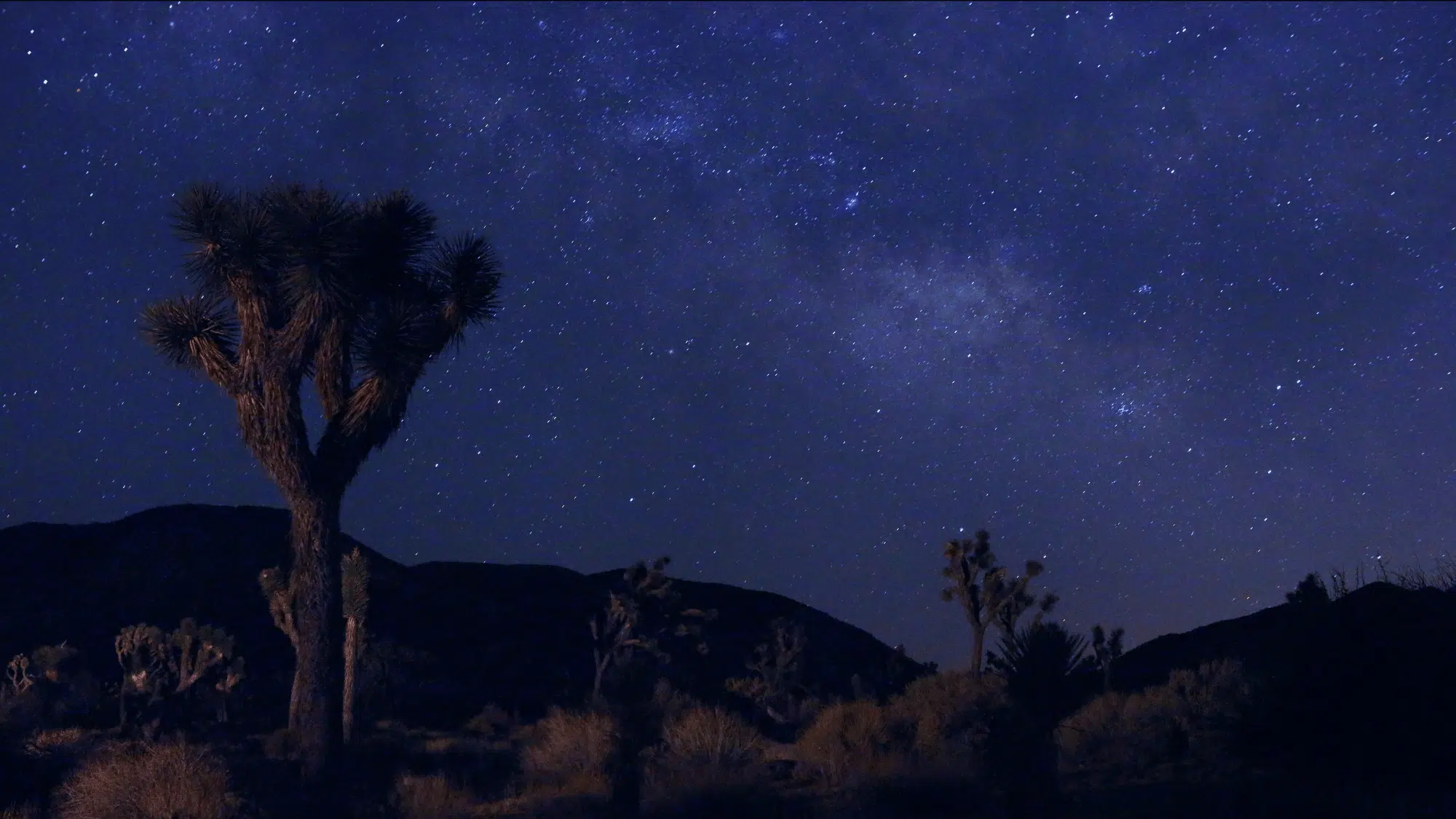 time it right best seasons and moon phases