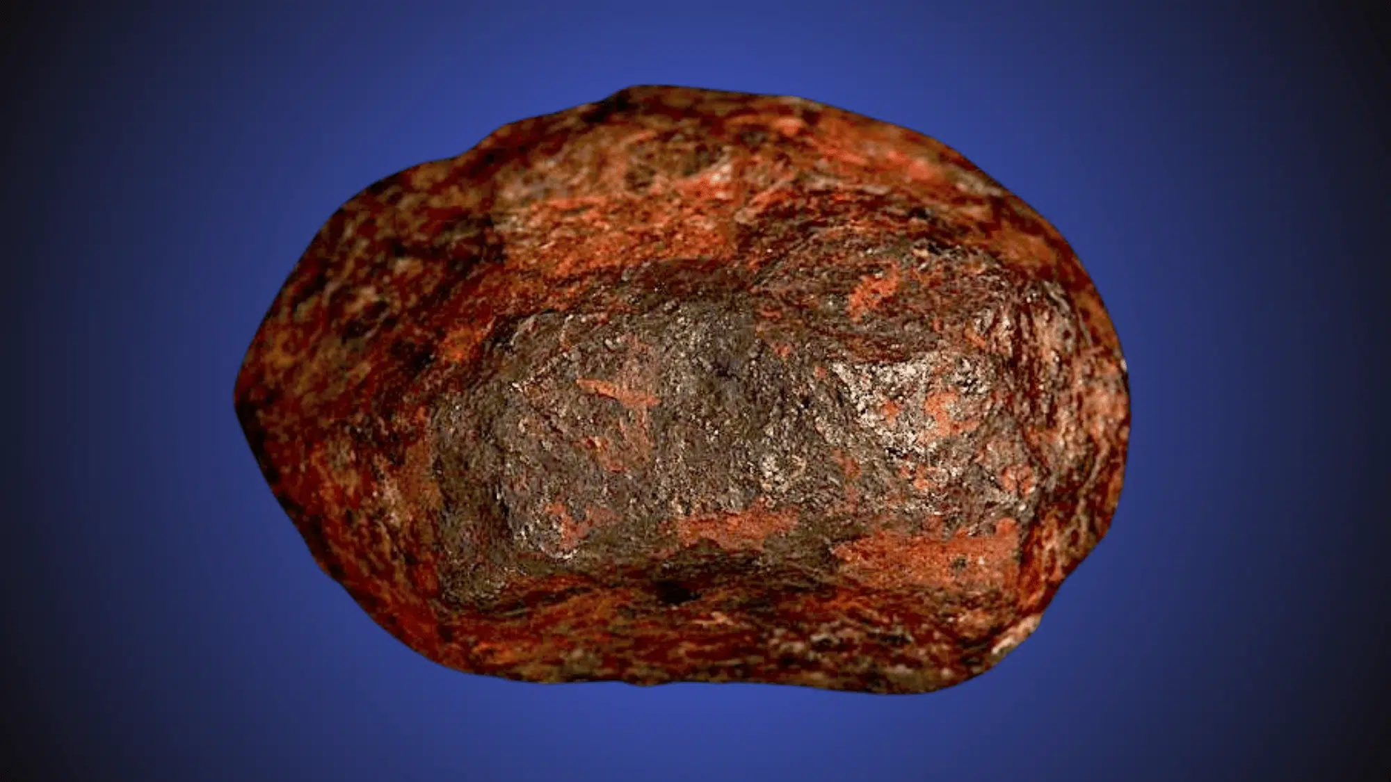 wedderburn meteorite