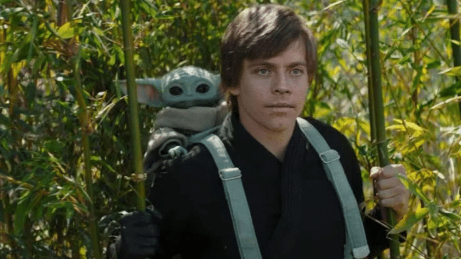 grogus training with luke skywalker