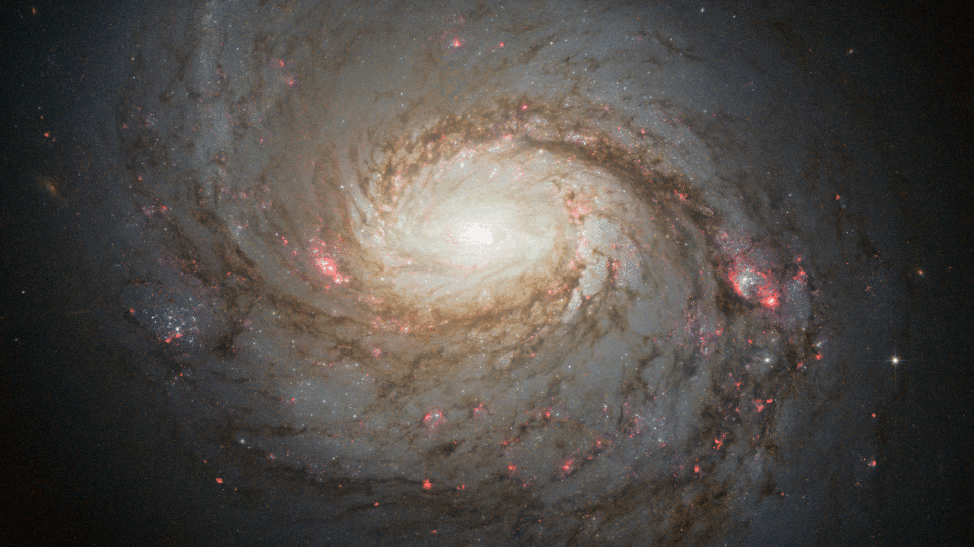 spiral galaxies