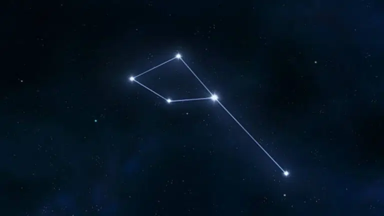 Depiction of the Delphinus constellation connecting bright stars against a dark, starry night sky