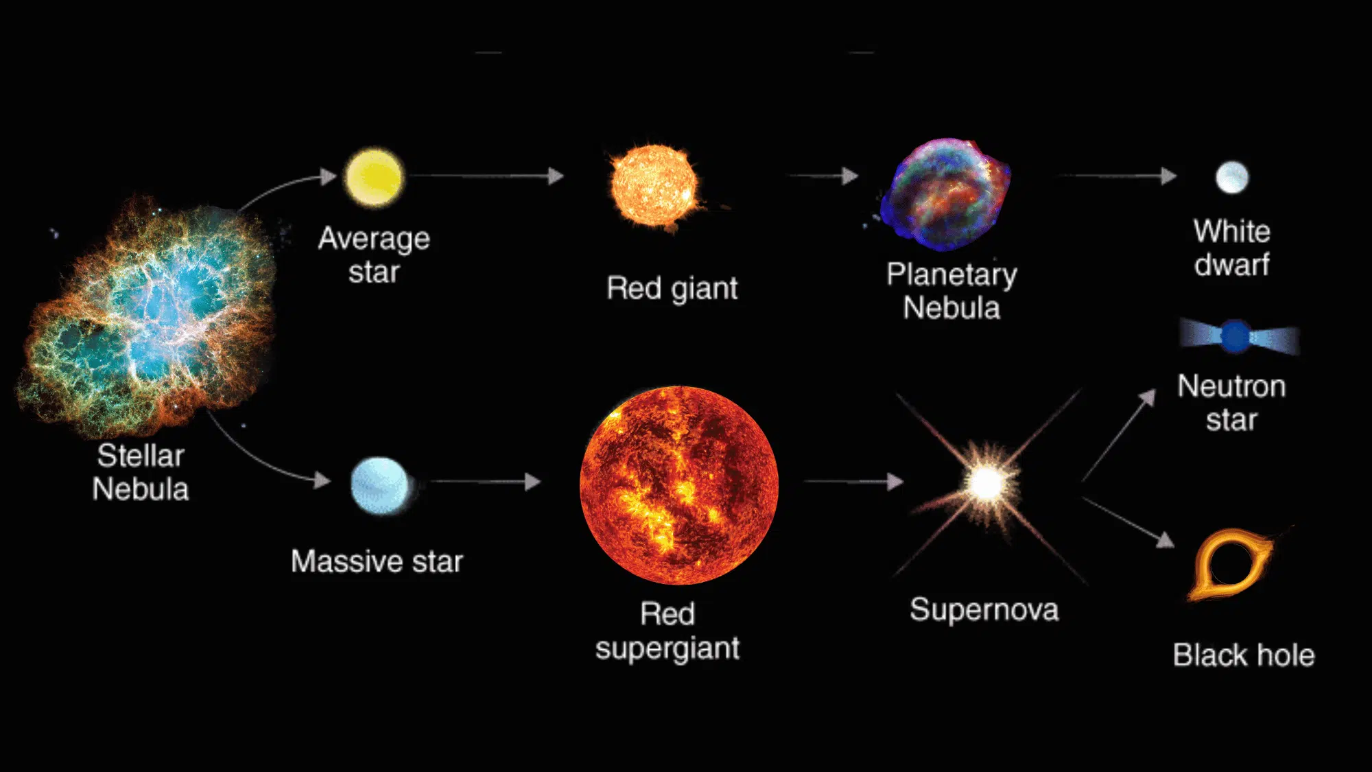 Diagram illustrating the stellar evolution pathways for average star's life cycle