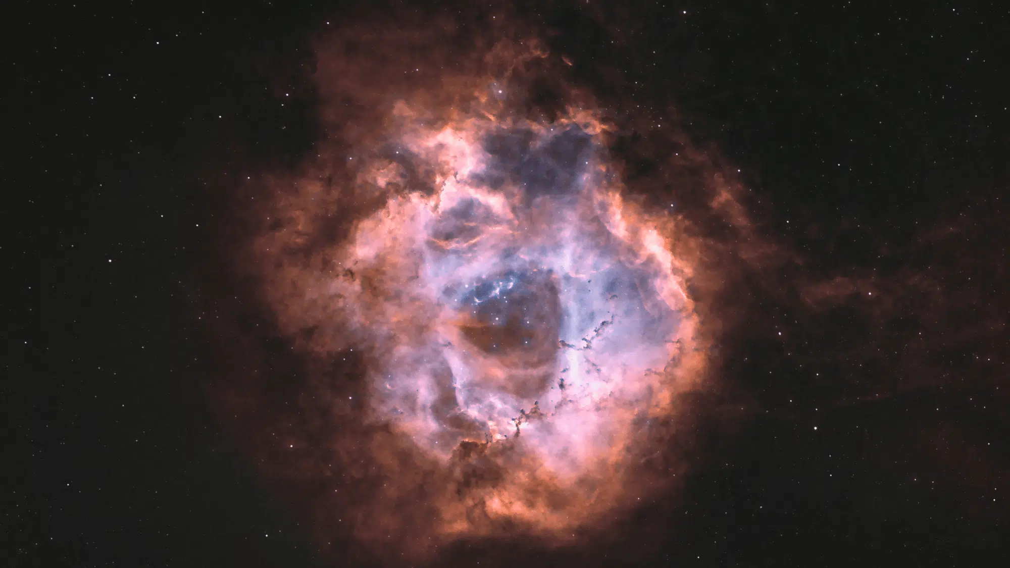 Rosette Nebula, a vast emission nebula featuring glowing pink and blue gas clouds surrounding a cluster of bright stars against a dark, star-filled background.