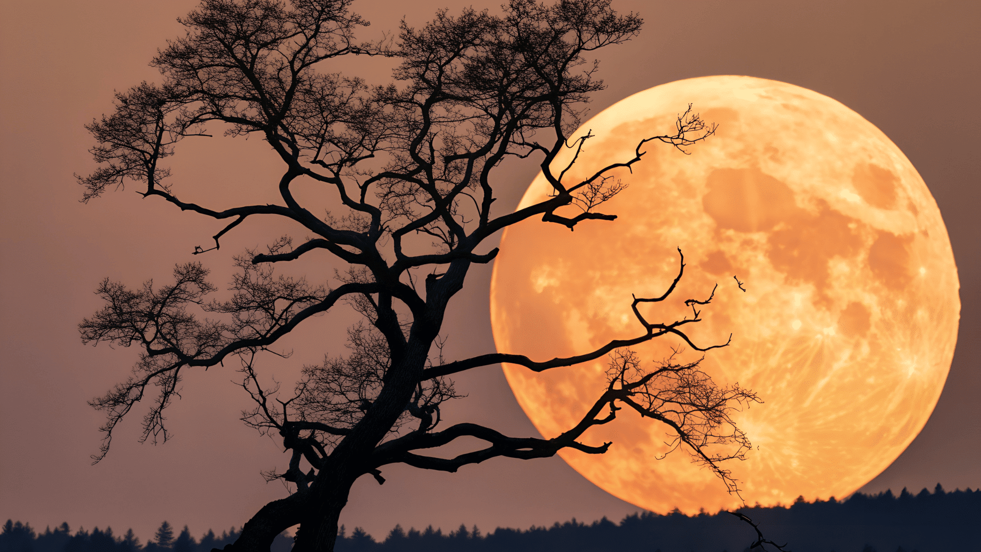 Silhouette of a large, bare tree against a massive, vibrant orange full worm moon rising over a dark forest horizon.