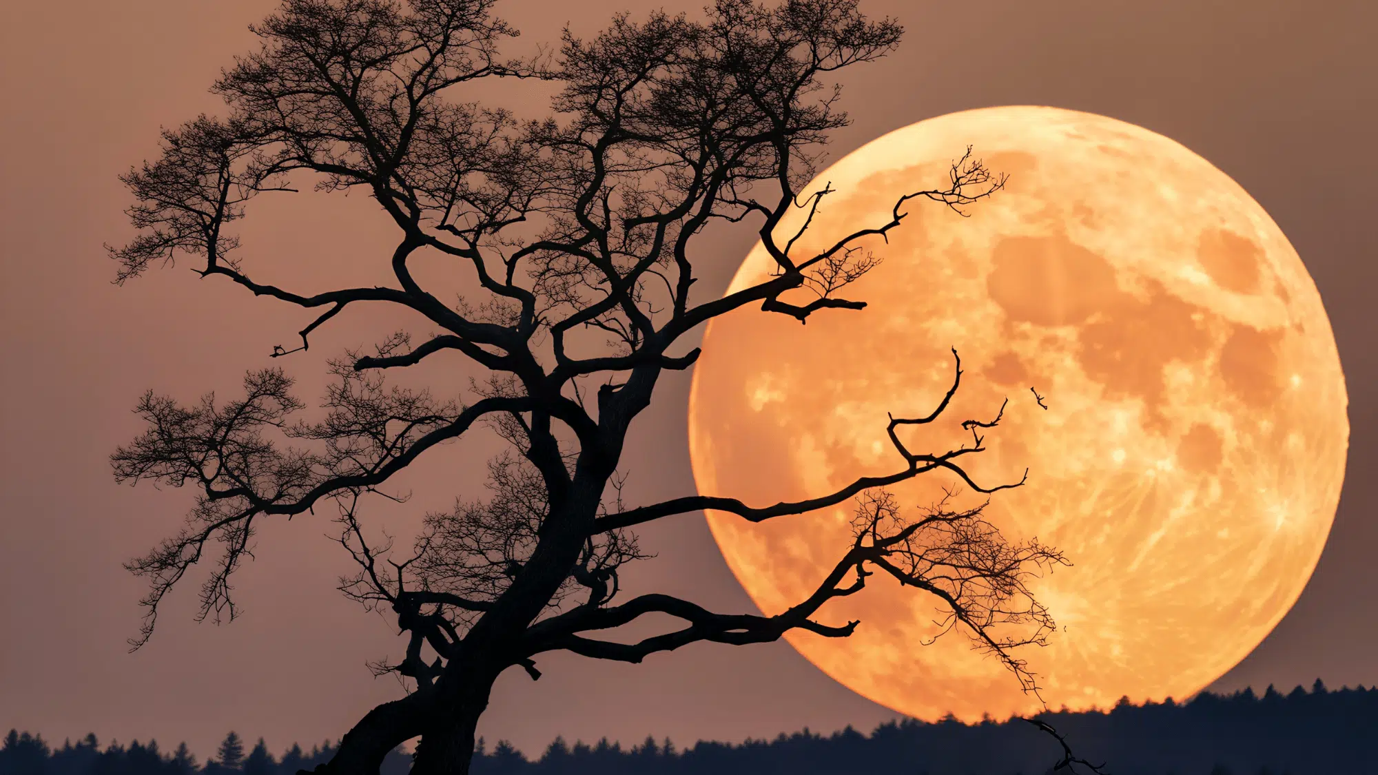 Silhouette of a large, bare tree against a massive, vibrant orange full worm moon rising over a dark forest horizon.