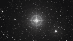 Delphinus Constellation: A Complete Guide - Philip Metzger