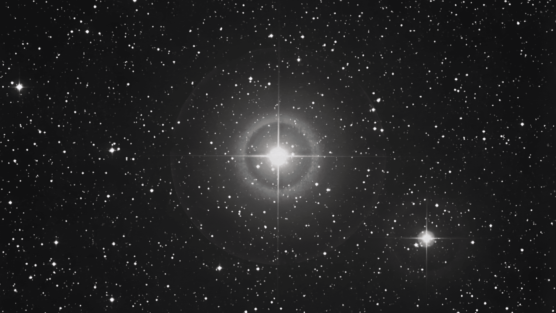 Sualocin star of the Delphinus constellation shining bright in the night sky