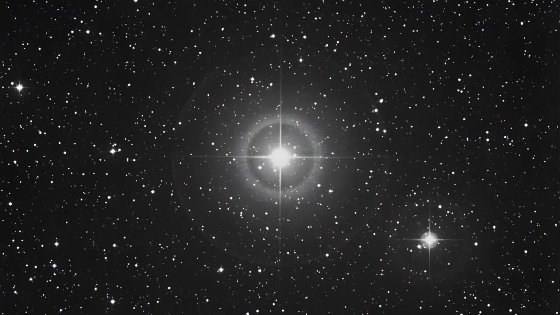 Sualocin star of the Delphinus constellation shining bright in the night sky