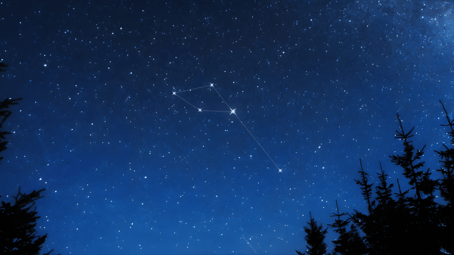 The Delphinus constellation is visible in the dark blue night sky above the silhouettes of pine trees