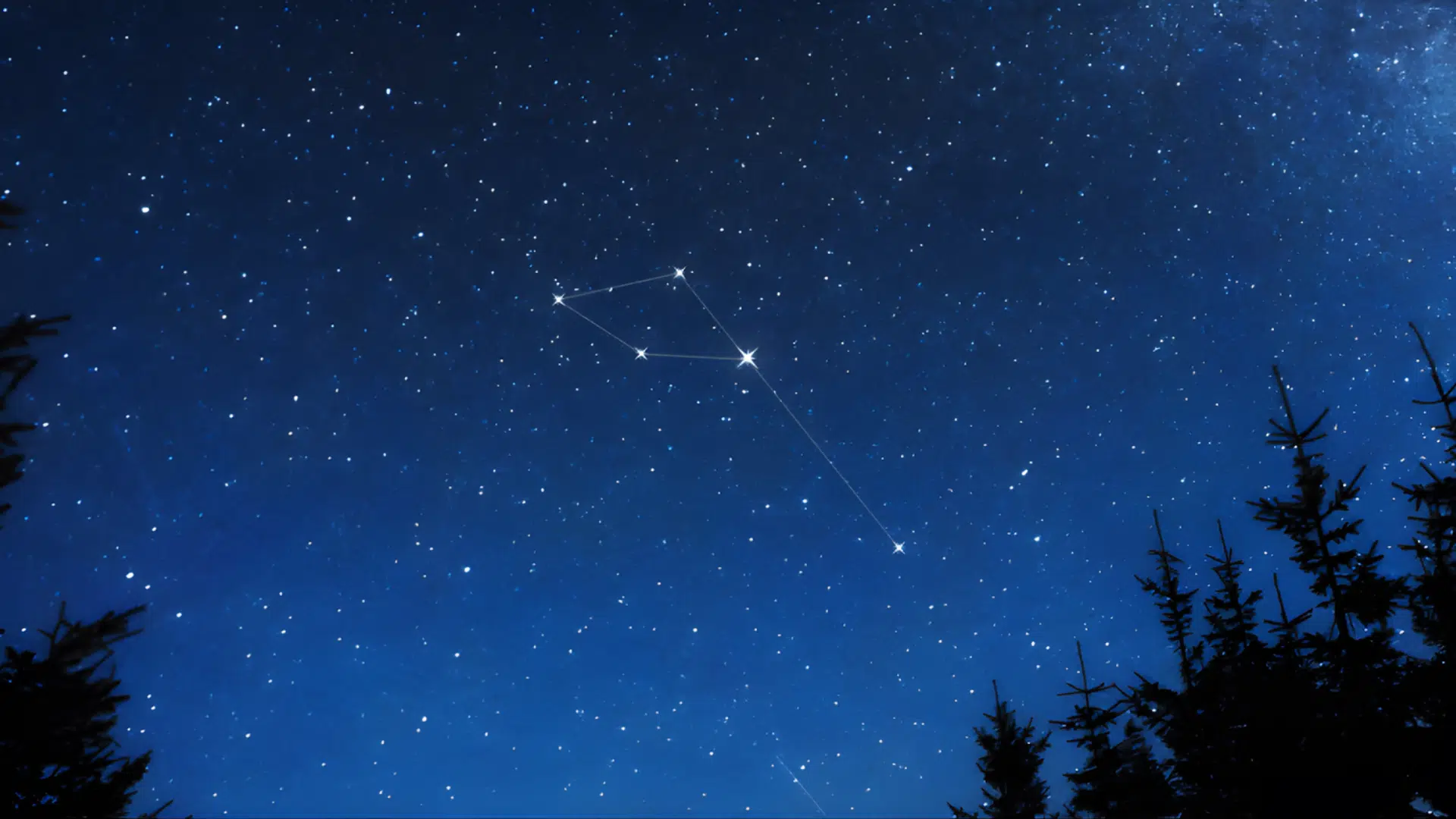 The Delphinus constellation is visible in the dark blue night sky above the silhouettes of pine trees