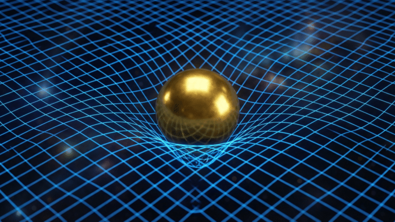 easy and fun facts about gravity everyone should know