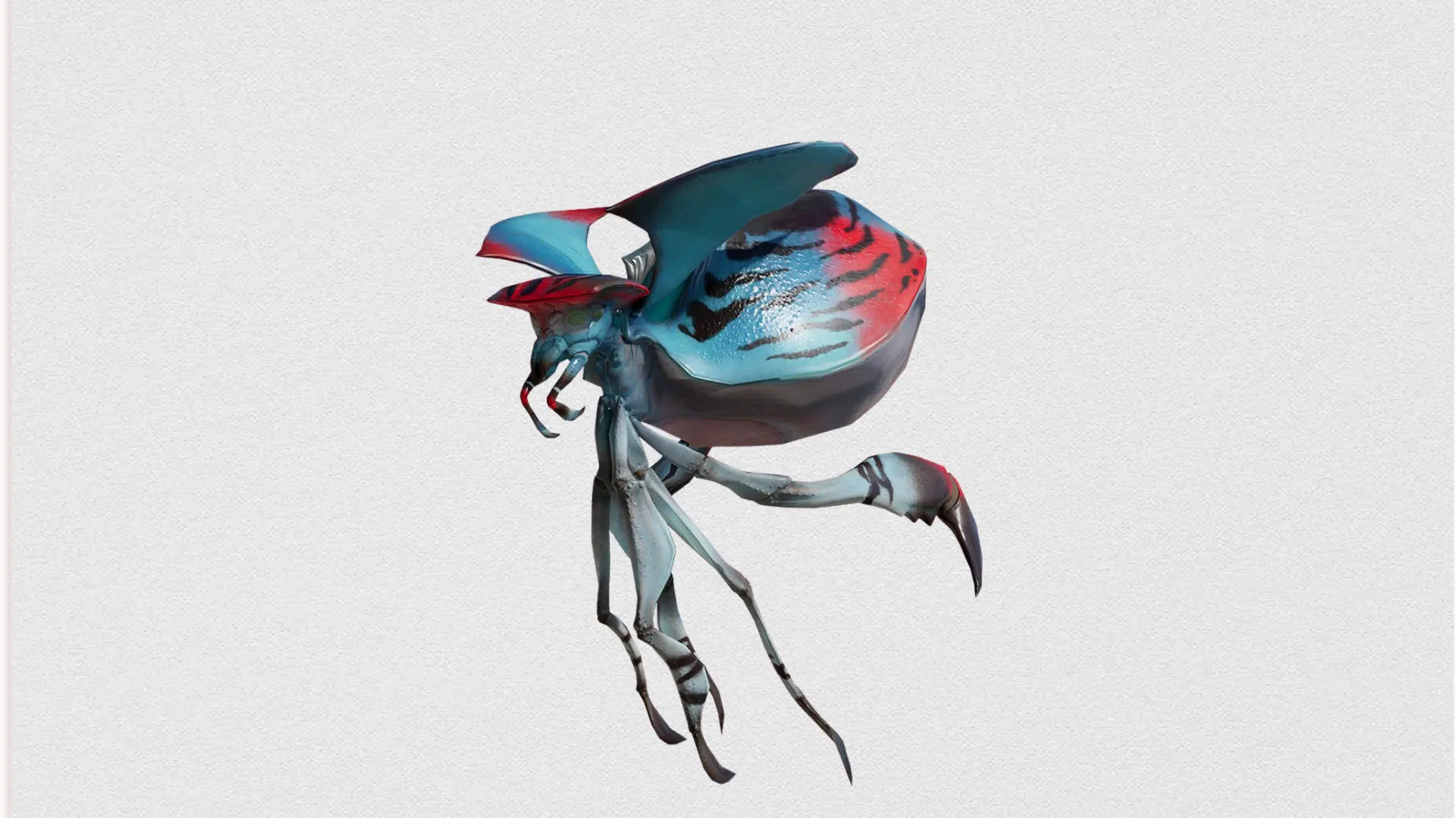 lantern beetle kinamtsing