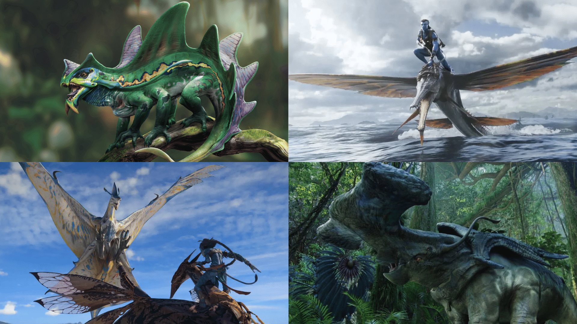meet the amazing animals of avatars pandora