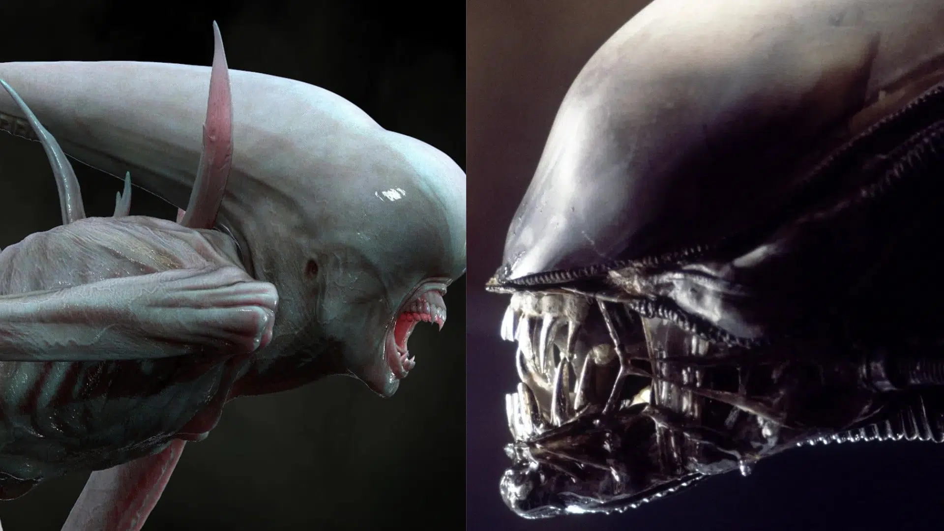Neomorph vs. Xenomorph: What’s the Difference?