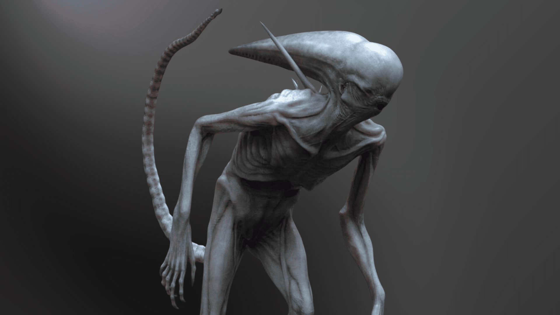 what does a neomorph look like
