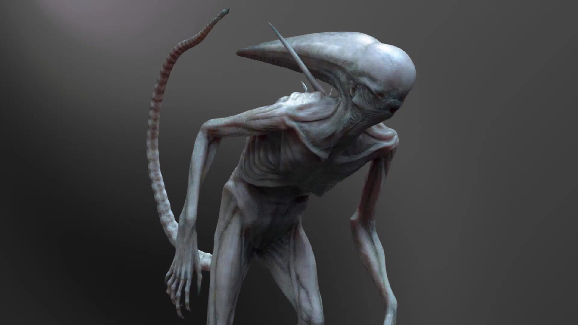 what does a neomorph look like