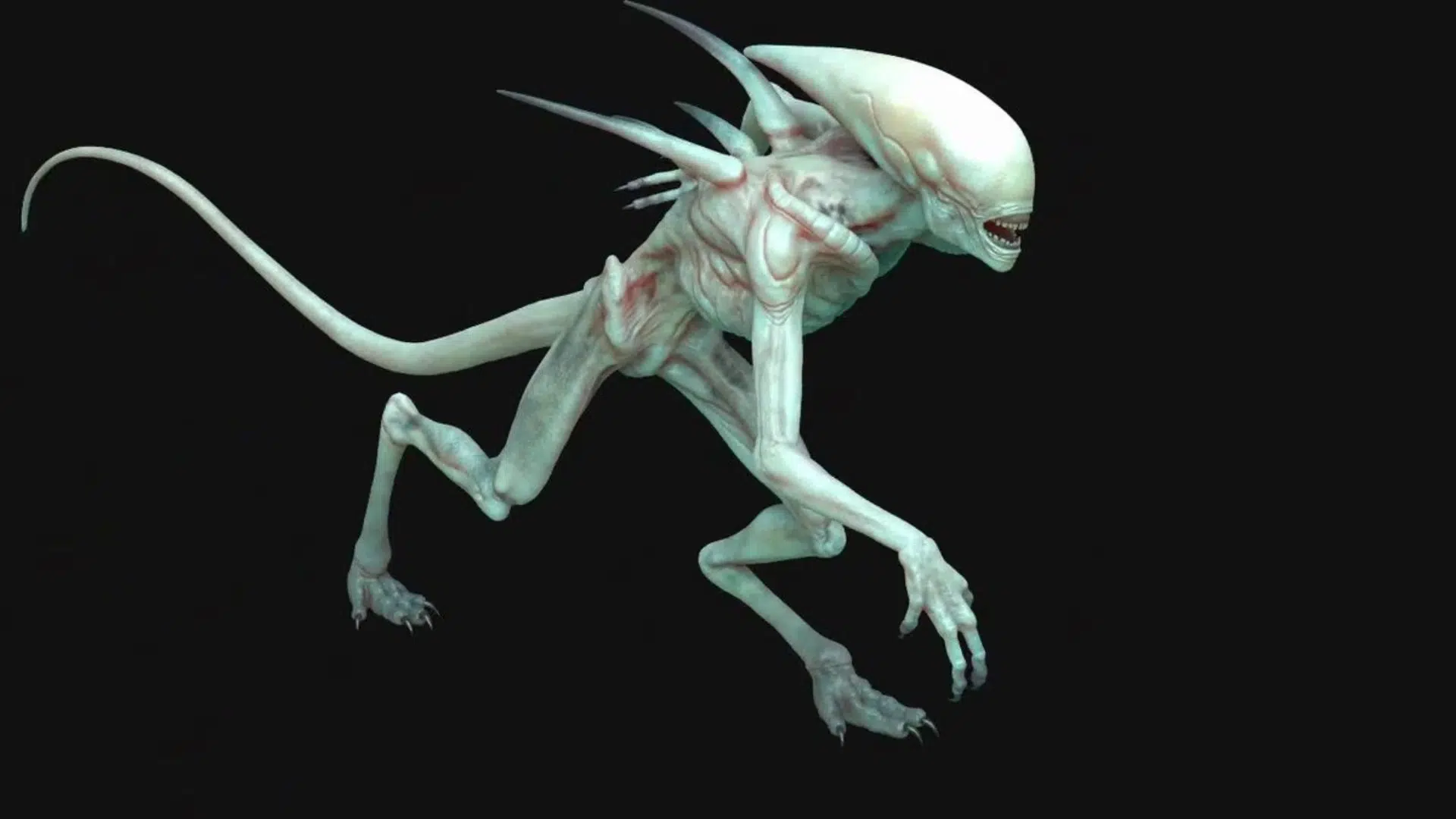 what is the neomorph alien and where did it come from