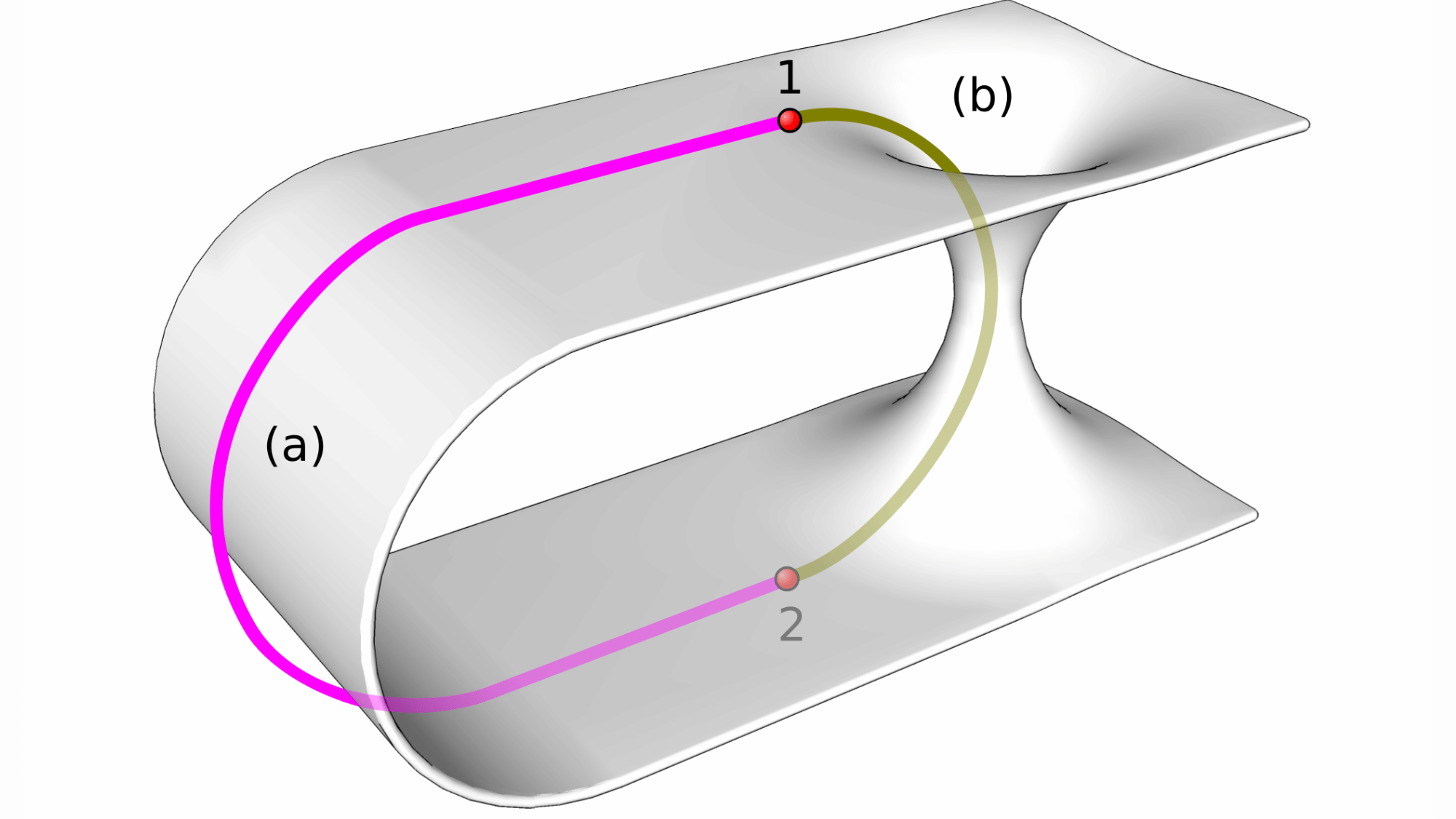 A wormhole visualized as a two-dimensional surface. Route (a) is the shortest path through normal space between points 1 and 2; route (b) is a shorter path through a wormhole.