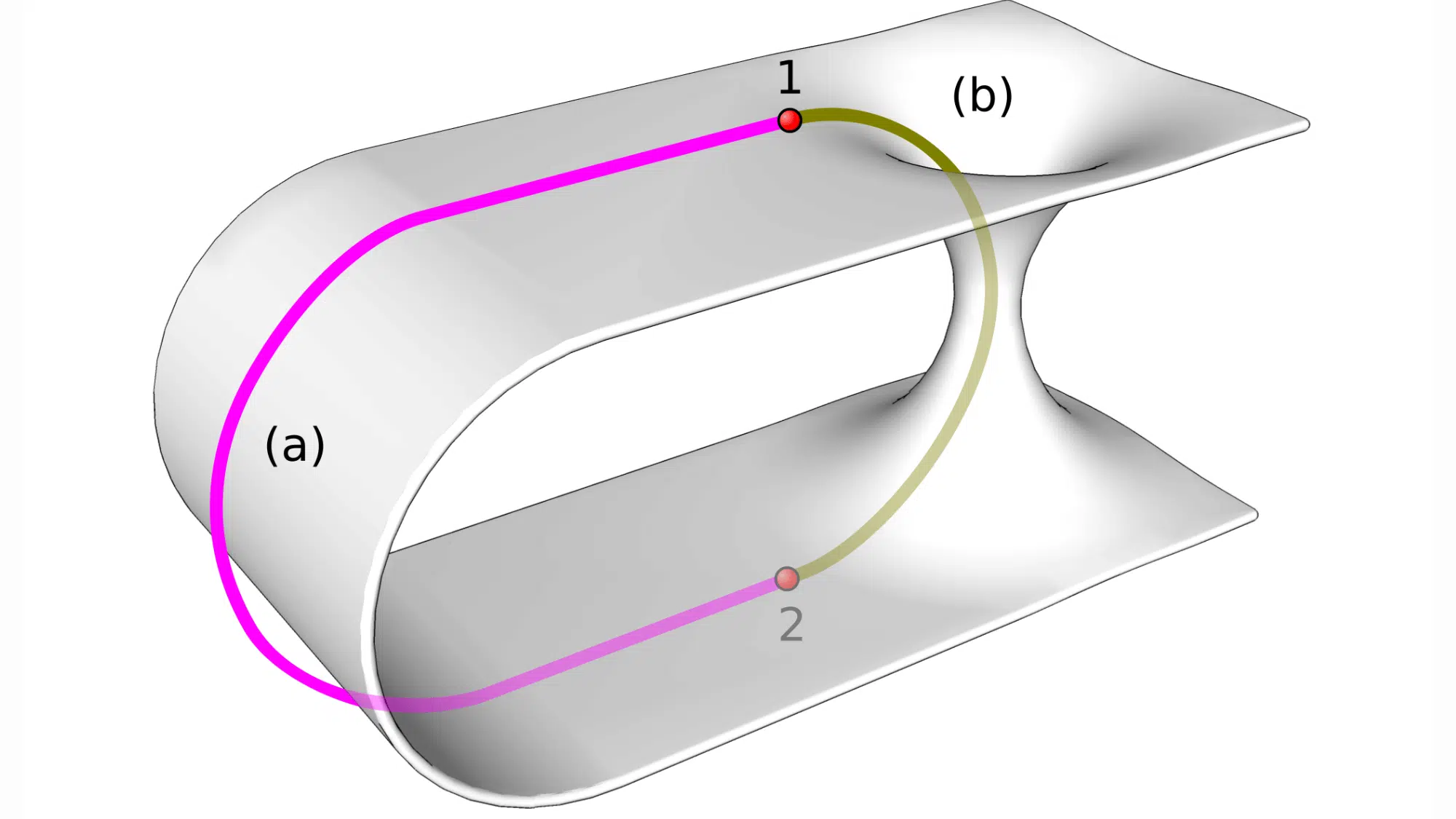 A wormhole visualized as a two-dimensional surface. Route (a) is the shortest path through normal space between points 1 and 2; route (b) is a shorter path through a wormhole.