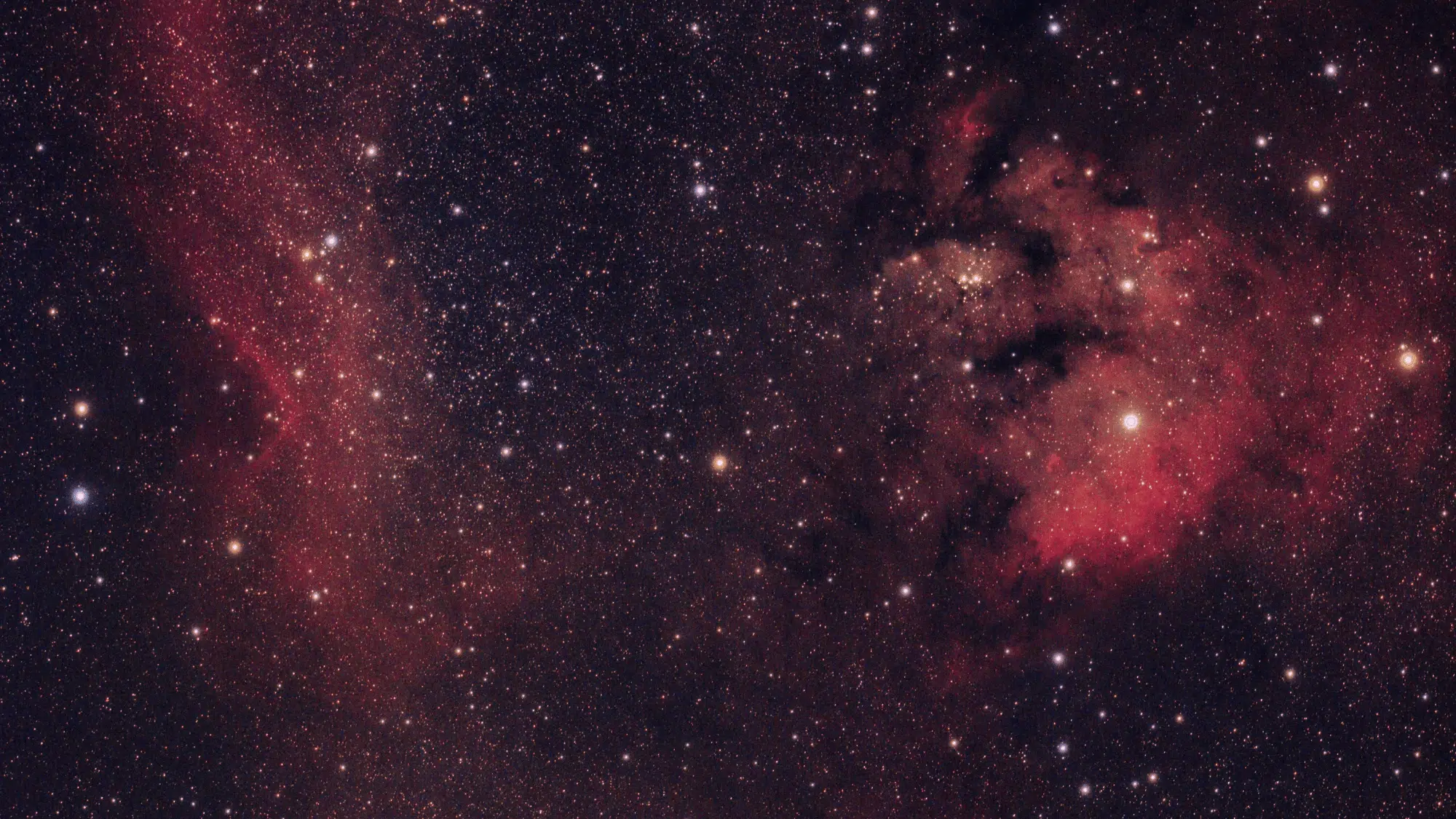 Deep space astrophotograph featuring vibrant red emission nebulae and a dense field of bright white stars.