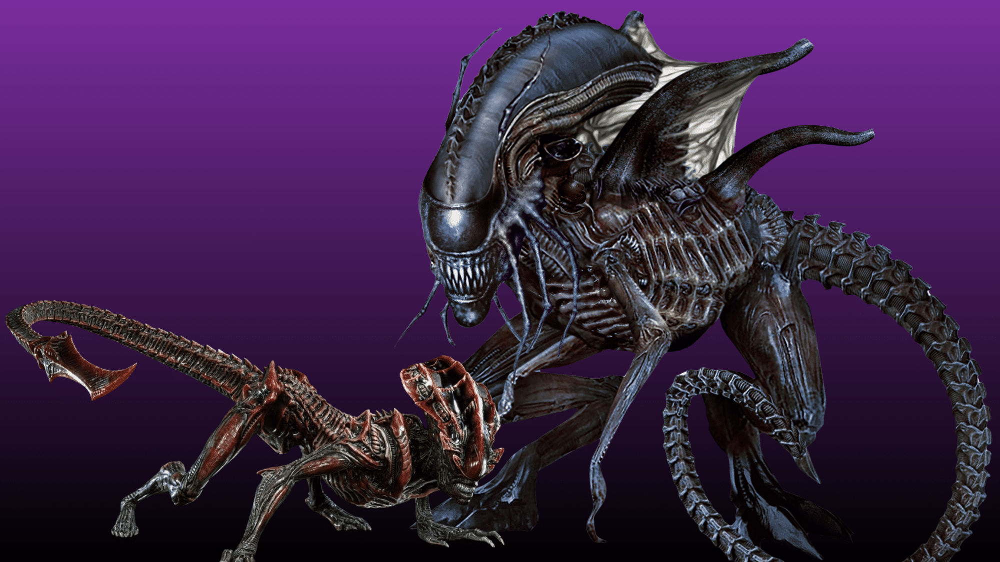 Diagram illustrating the different rare and expanded universe xenomorph types