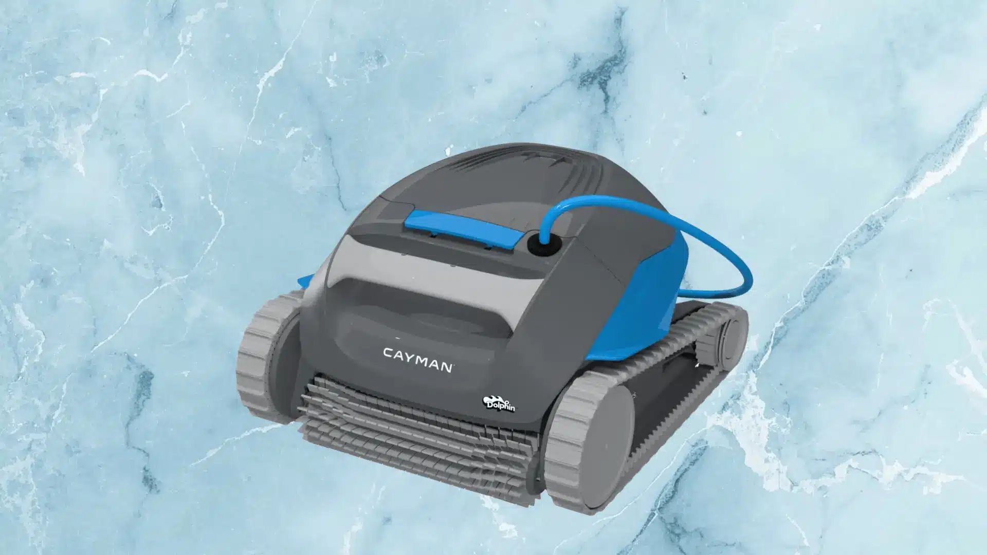 best budget pool vacuum robot dolphin cayman